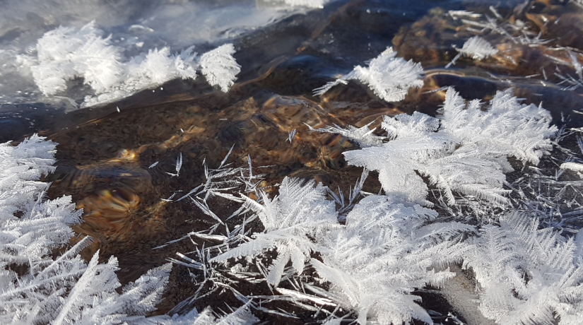 snowflakes on frozen creek
