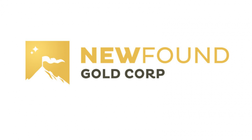 New Found Gold logo